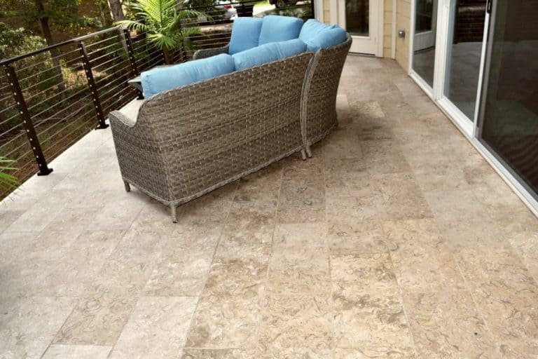Caribbean Shell Stone 12x24 Brushed 2018 #2